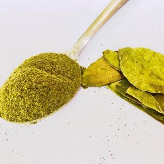 Gymnema Sylvester-Blattextrakt